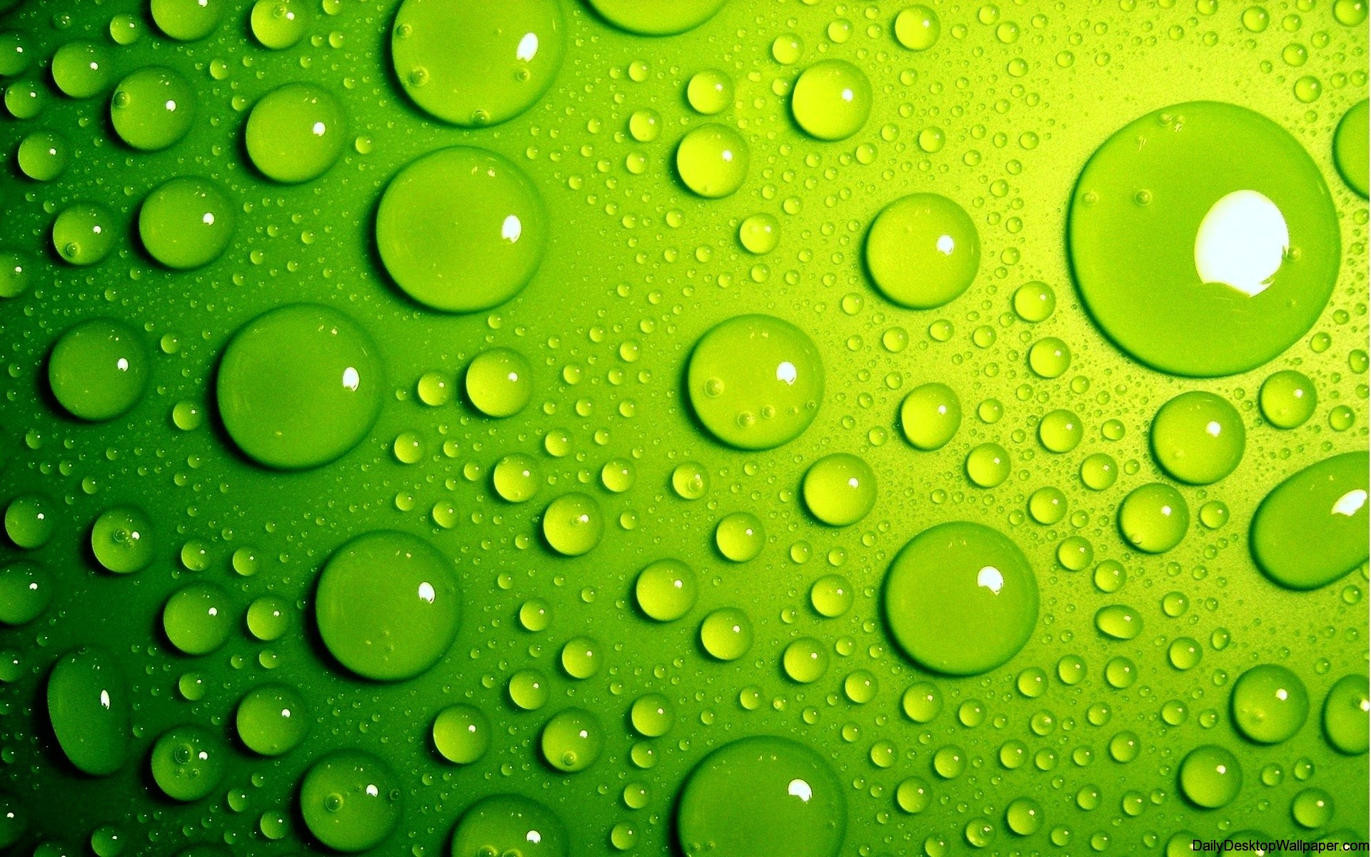 Download hd water droplet wallpaper HD wallpaper