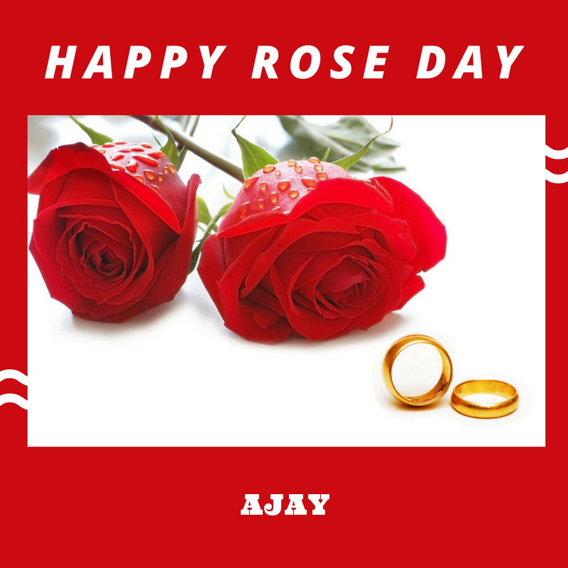 Happy Rose Day Ajay Name Wallpaper