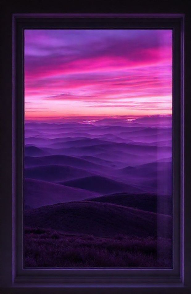 Purple Windows Wallpaper