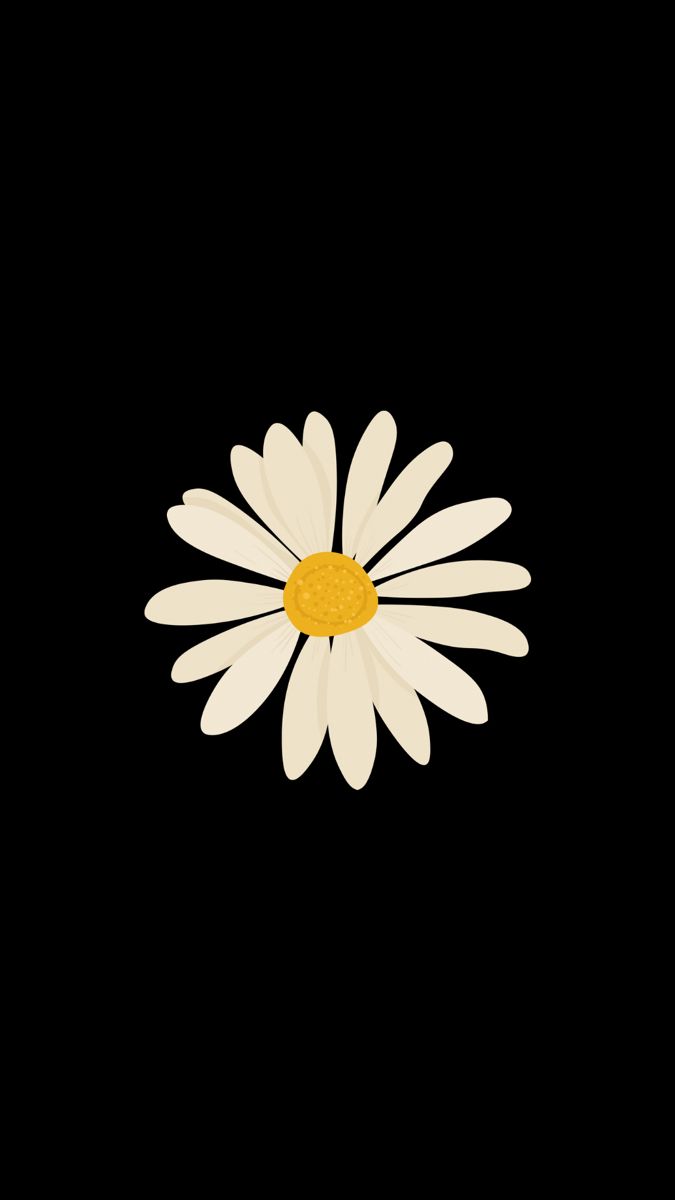 White Flower iPhone Wallpaper