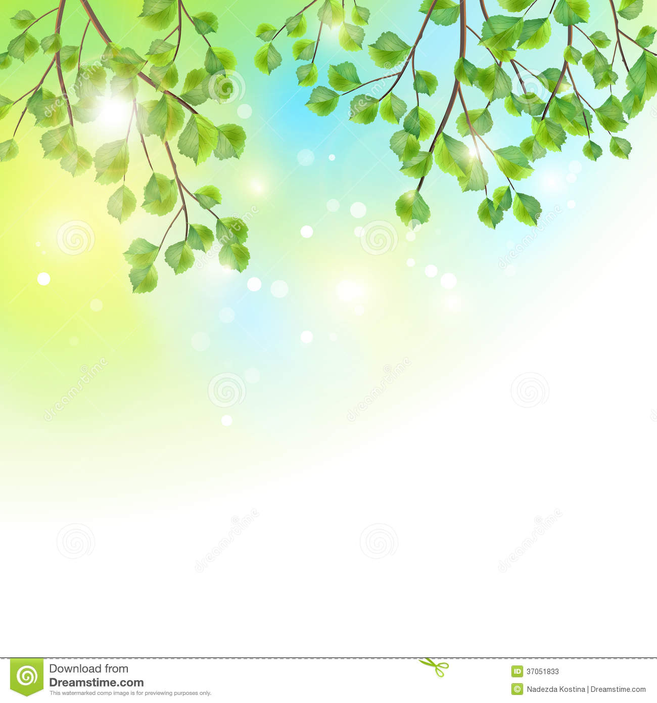Green Leaves Tree Branches Vector Summer Background Birch Border