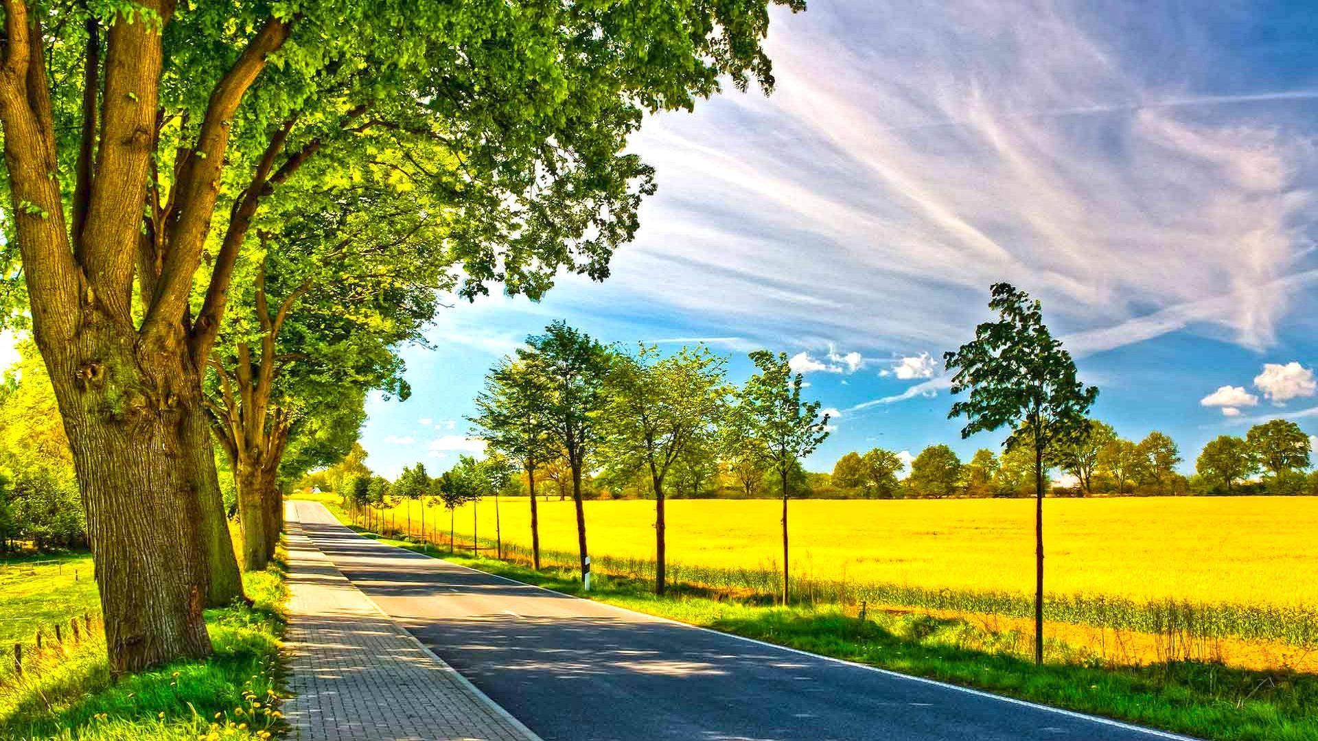 Beautiful Sunshine Wallpaper