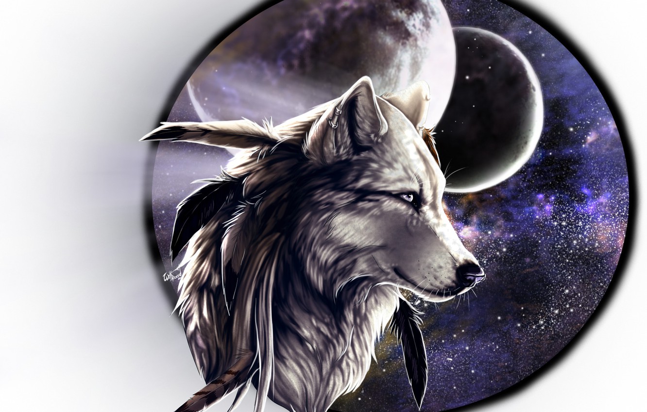 Free download Wallpaper background wolf frame images for desktop