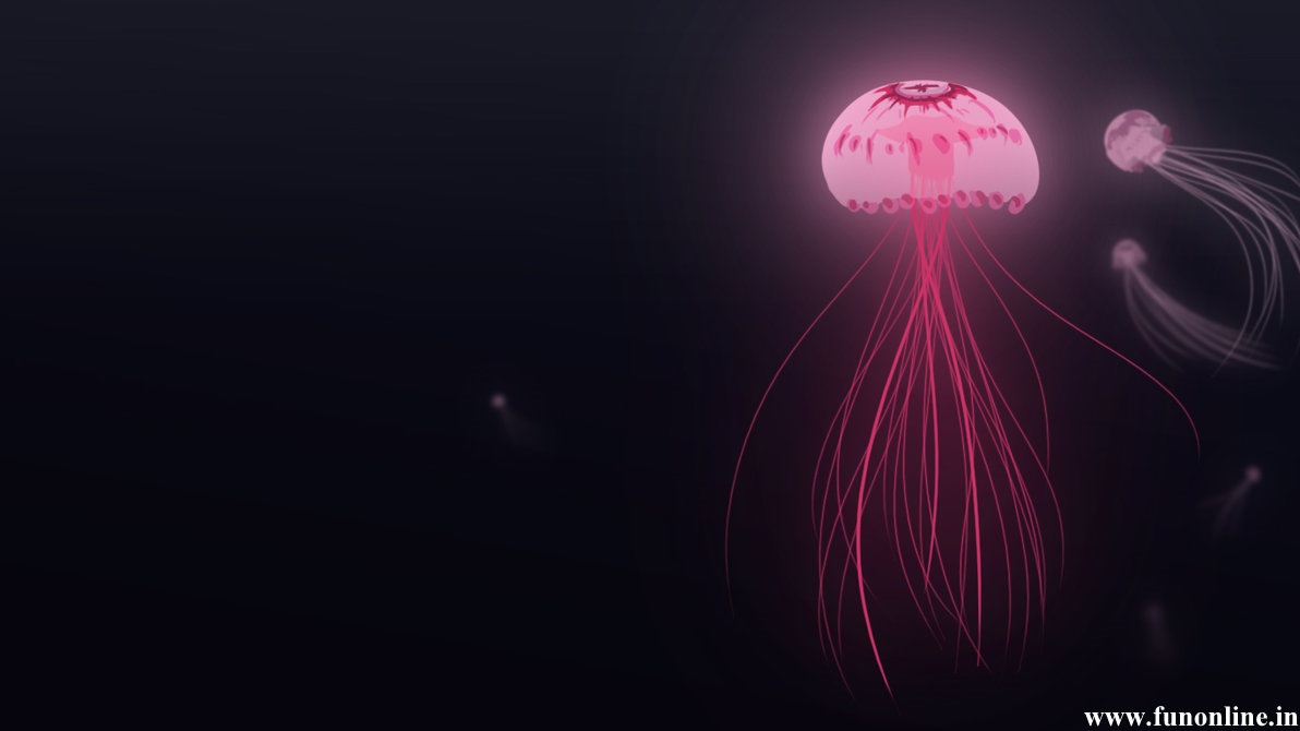 Jellyfish Wallpaper Underwater Jellyfishes
