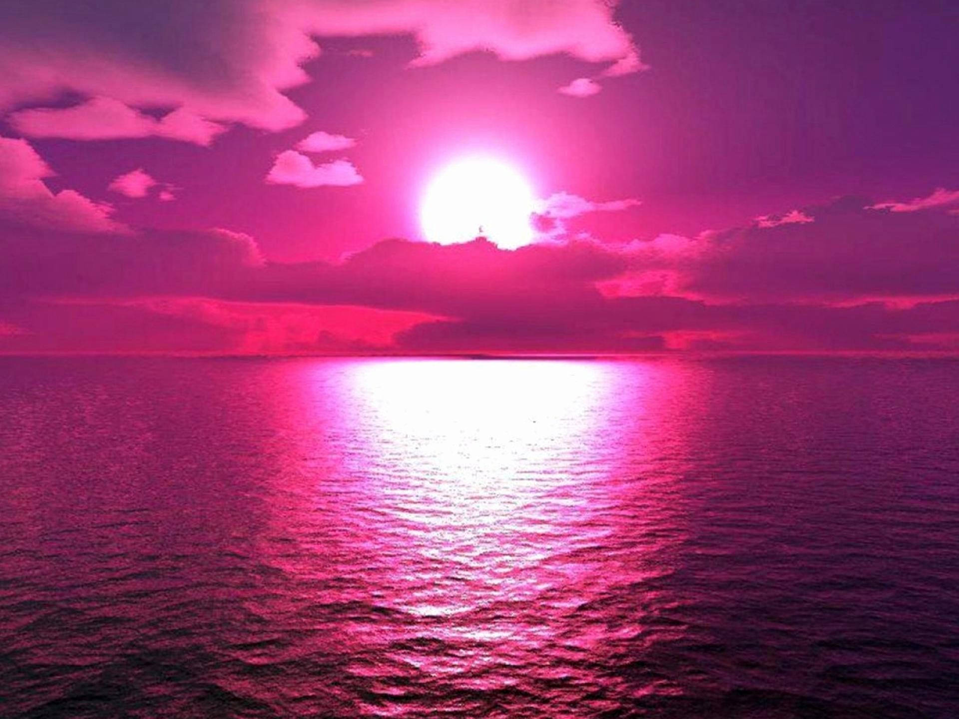 Pink Neon Aesthetic Wallpaper