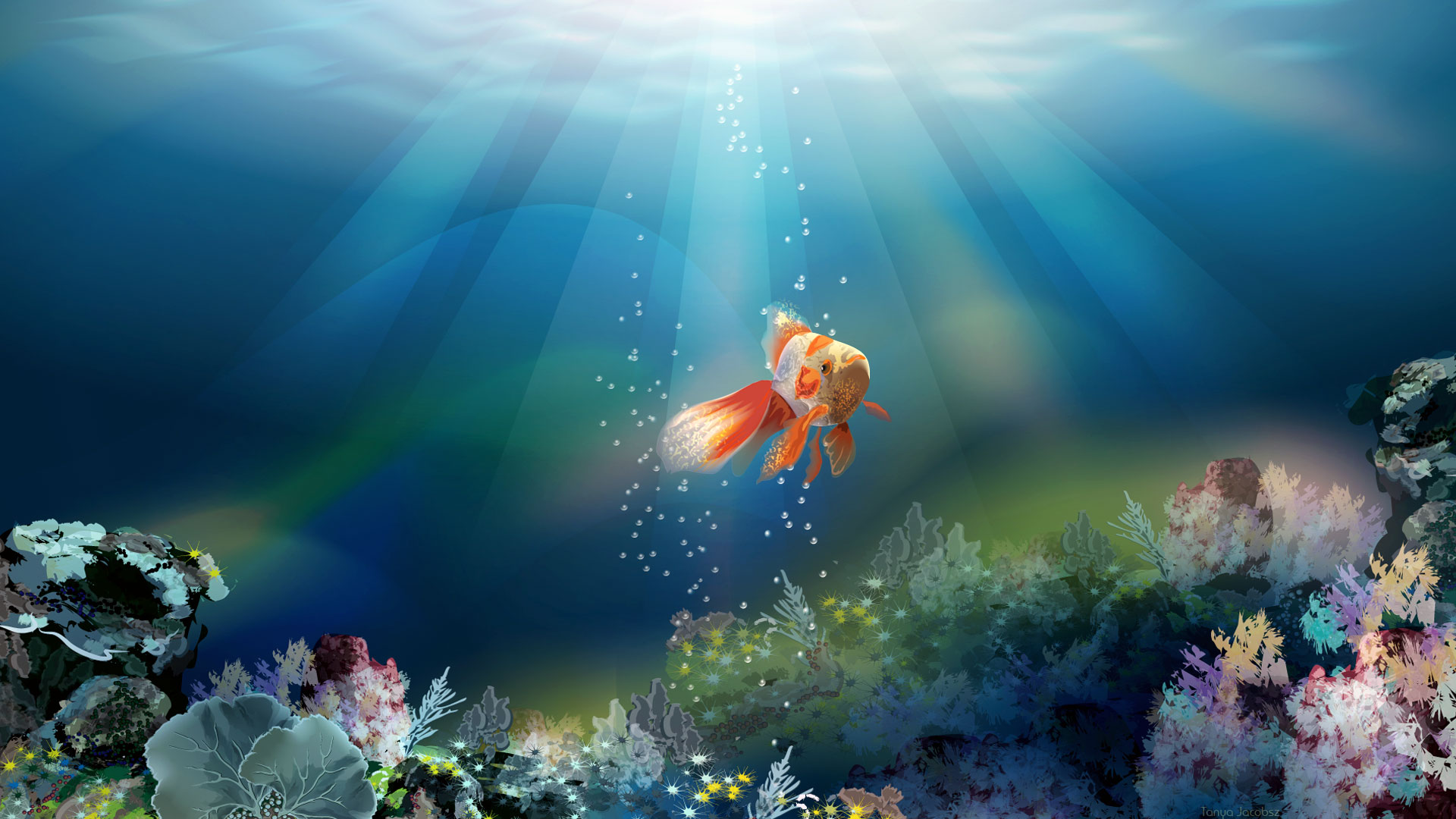 Fish Live Wallpaper Aquarium P  Apps on Google Play