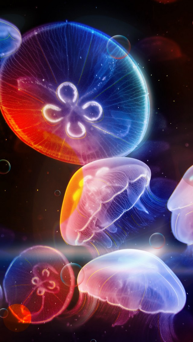 Colorful Jellyfish iPhone Wallpaper Background And