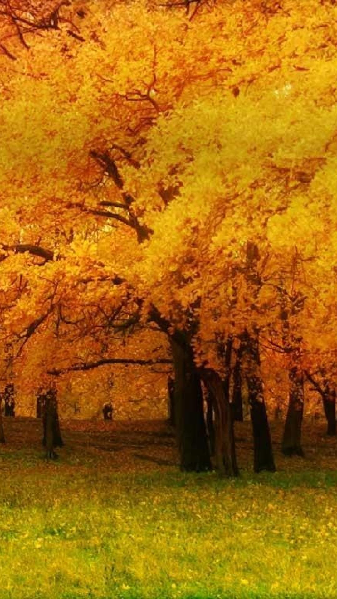 🔥 [50+] Bing Autumn Desktop Wallpaper | WallpaperSafari