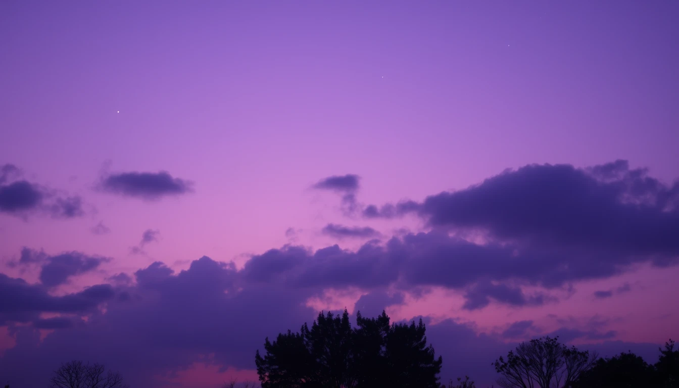 Purple Aesthetic Wallpaper