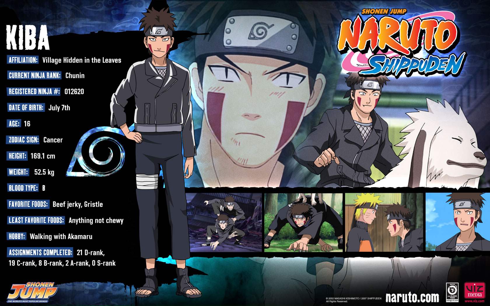 Download the Naruto anime wallpaper titled Kiba Bio 1680x1050