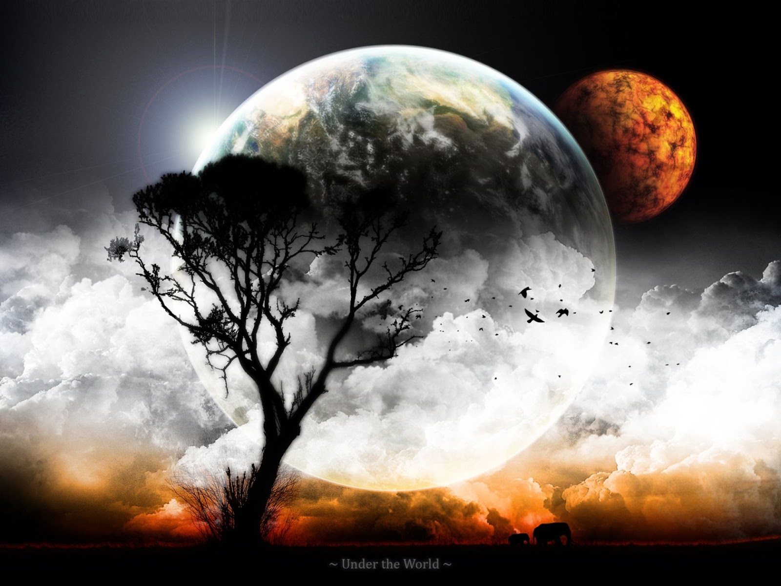 Beautiful Cool HD Wallpaper