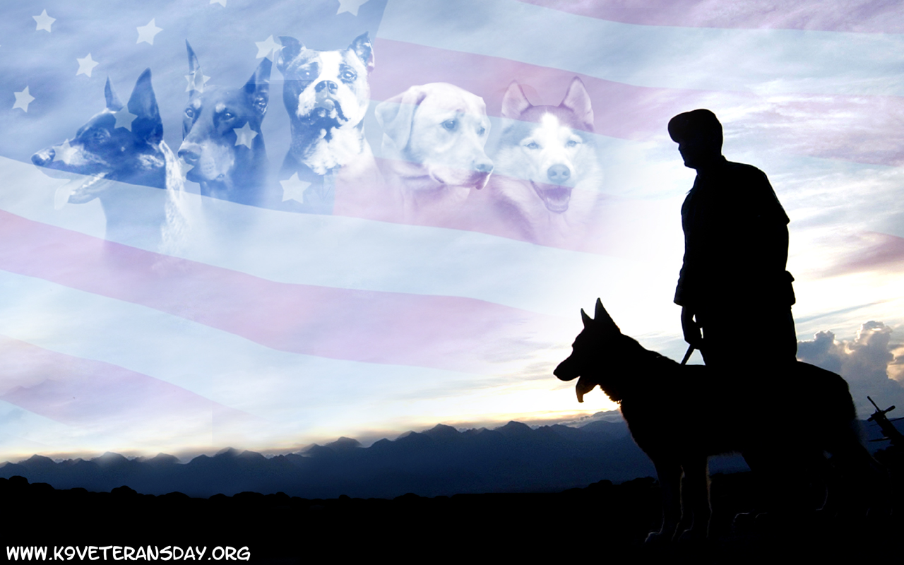 commission k9 vets wallpaper by mausergirl customization wallpaper