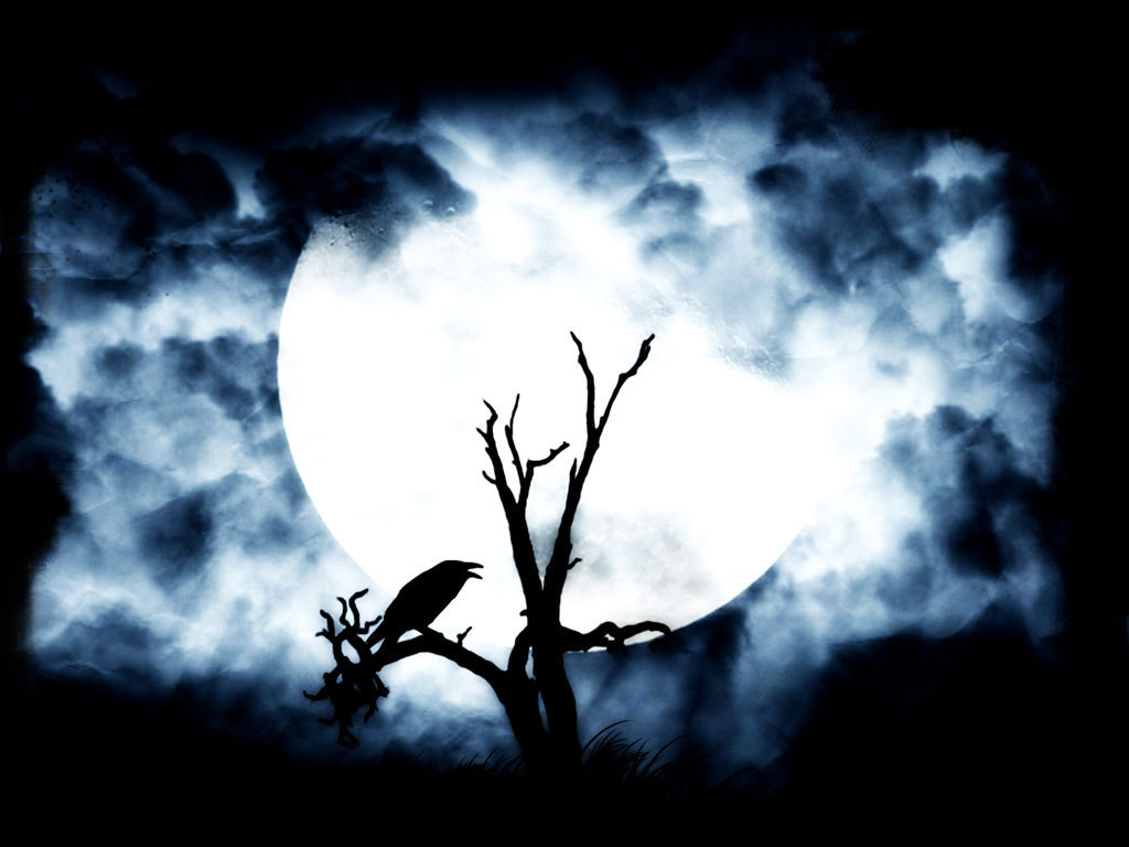 The Crow Silhouette IwallHD Wallpaper HD