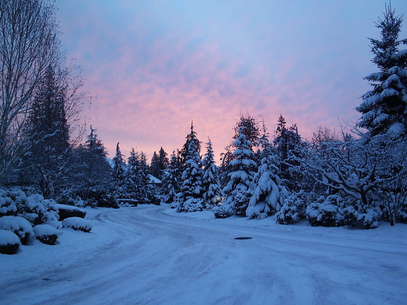 A picturesque winter wonderland scene with snow-covered trees and a pink and purple sunset sky