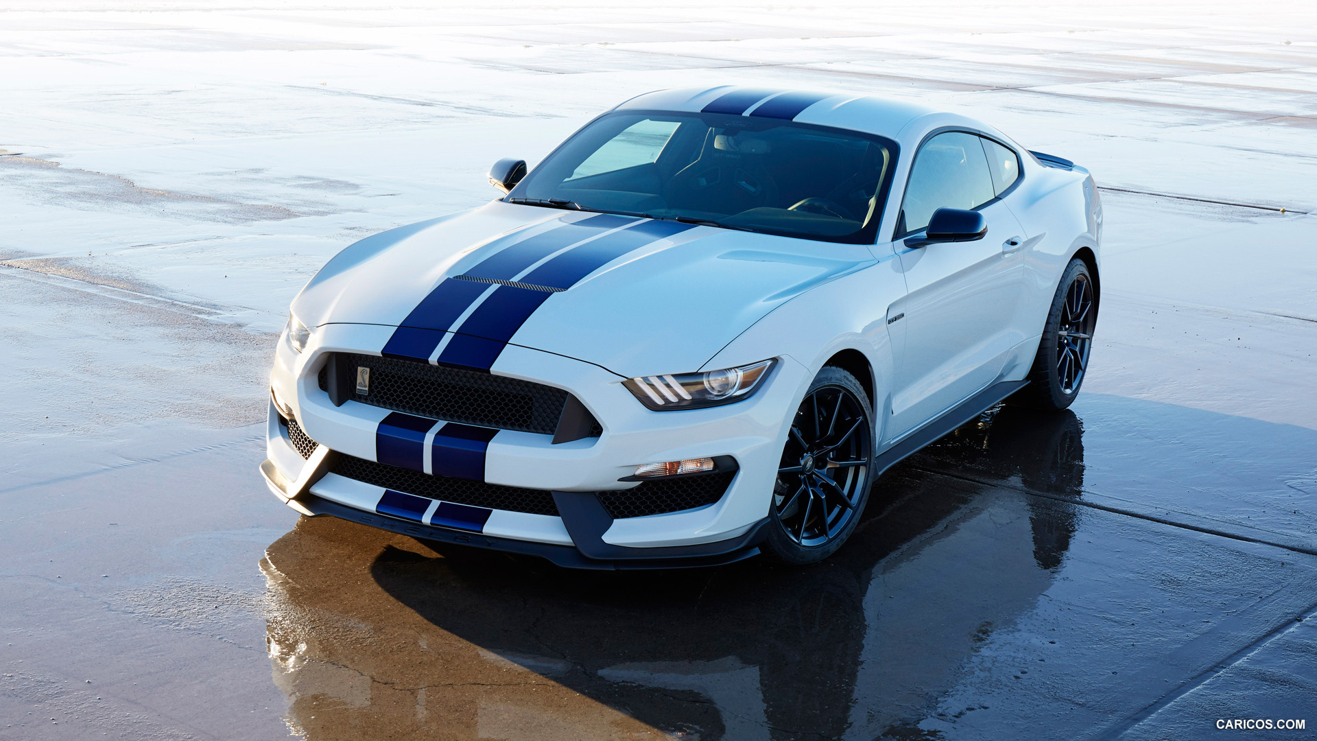 29 Ford Mustang Shelby Gt350 Wallpapers On Wallpapersafari