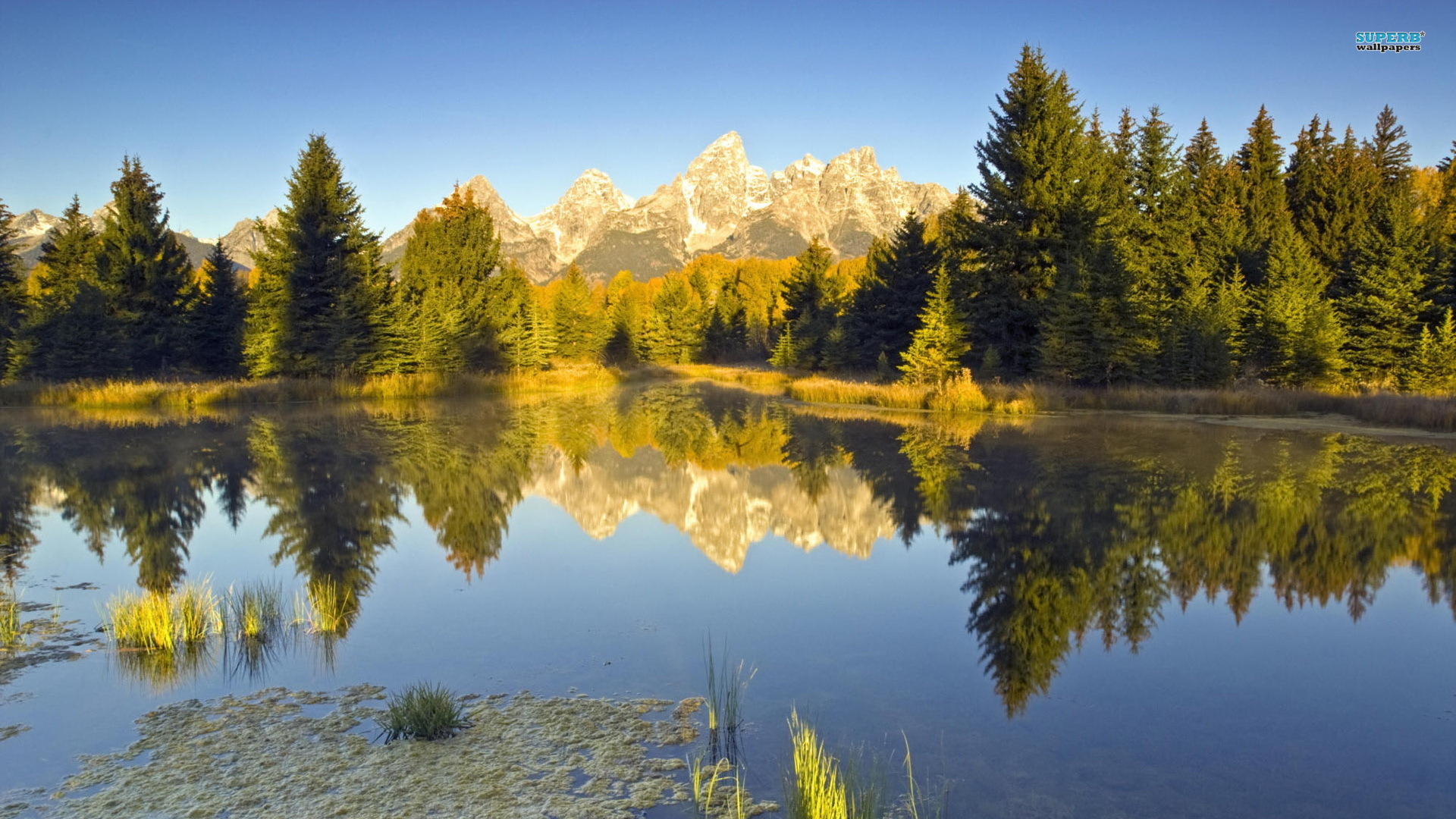 Check This Out Our New Grand Teton Wallpaper Landscapes