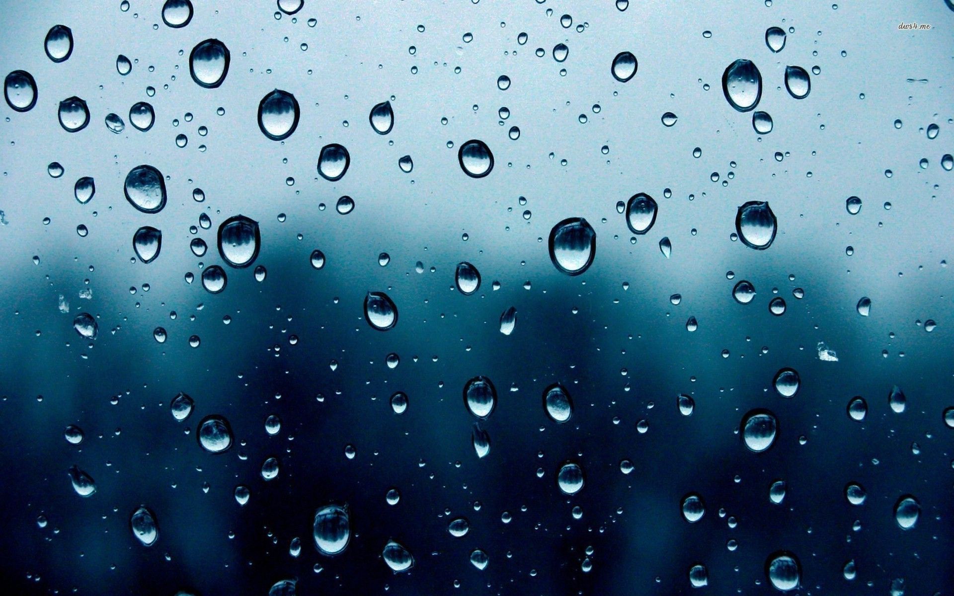 Raindrops Wallpapers   Top Free Raindrops Backgrounds