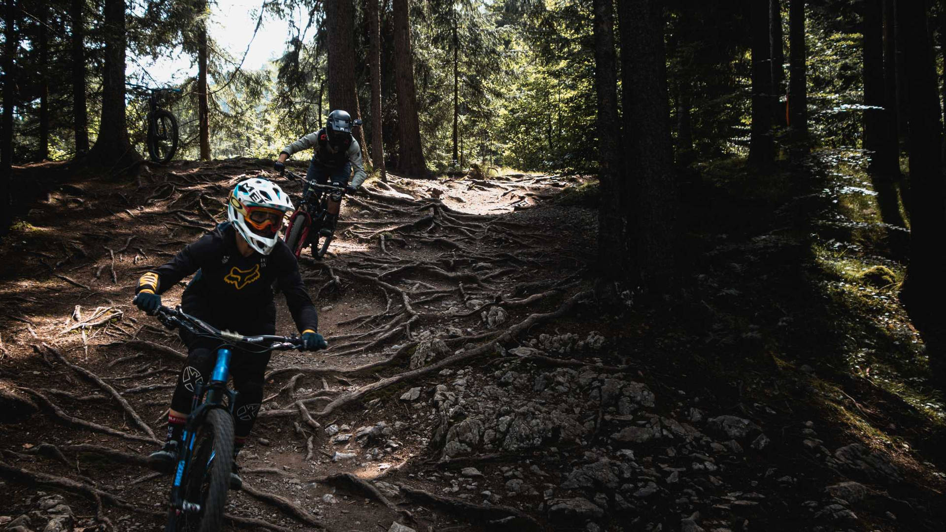 Mtb Qxt4rhjjlkt3uyij Wallpaper