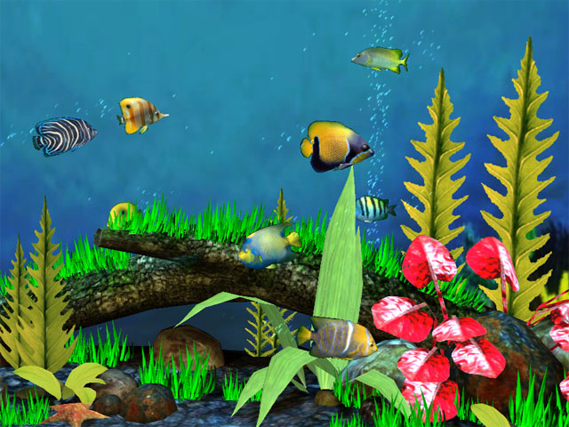 Fish Aquarium 3d Screensaver Beautiful Large With