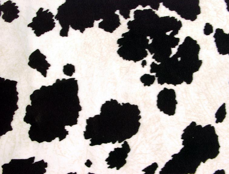 Free download cow print cow print [756x576] for your Desktop, Mobile