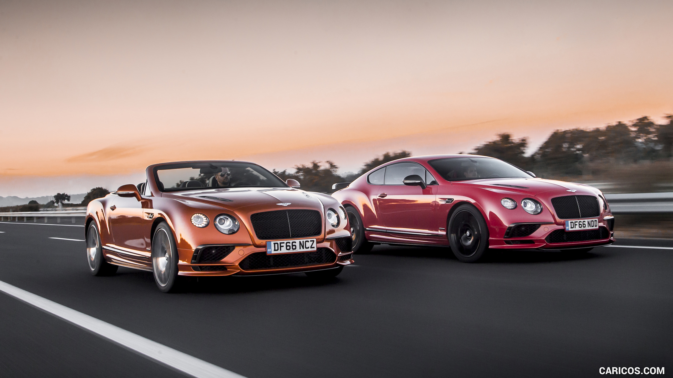 Bentley Continental Gt Supersports Coupe And Convertible HD