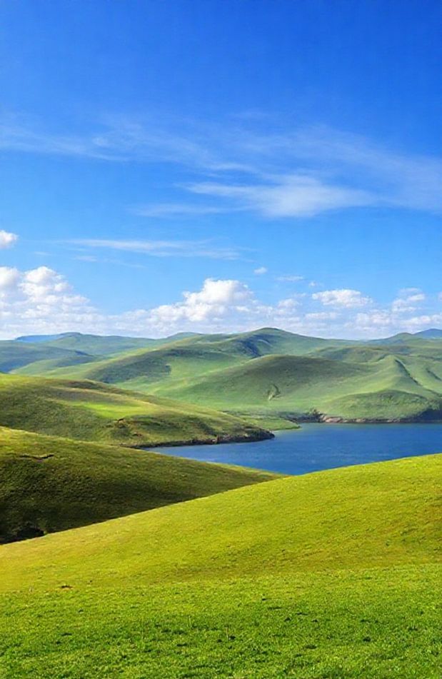 Official Windows Wallpaper