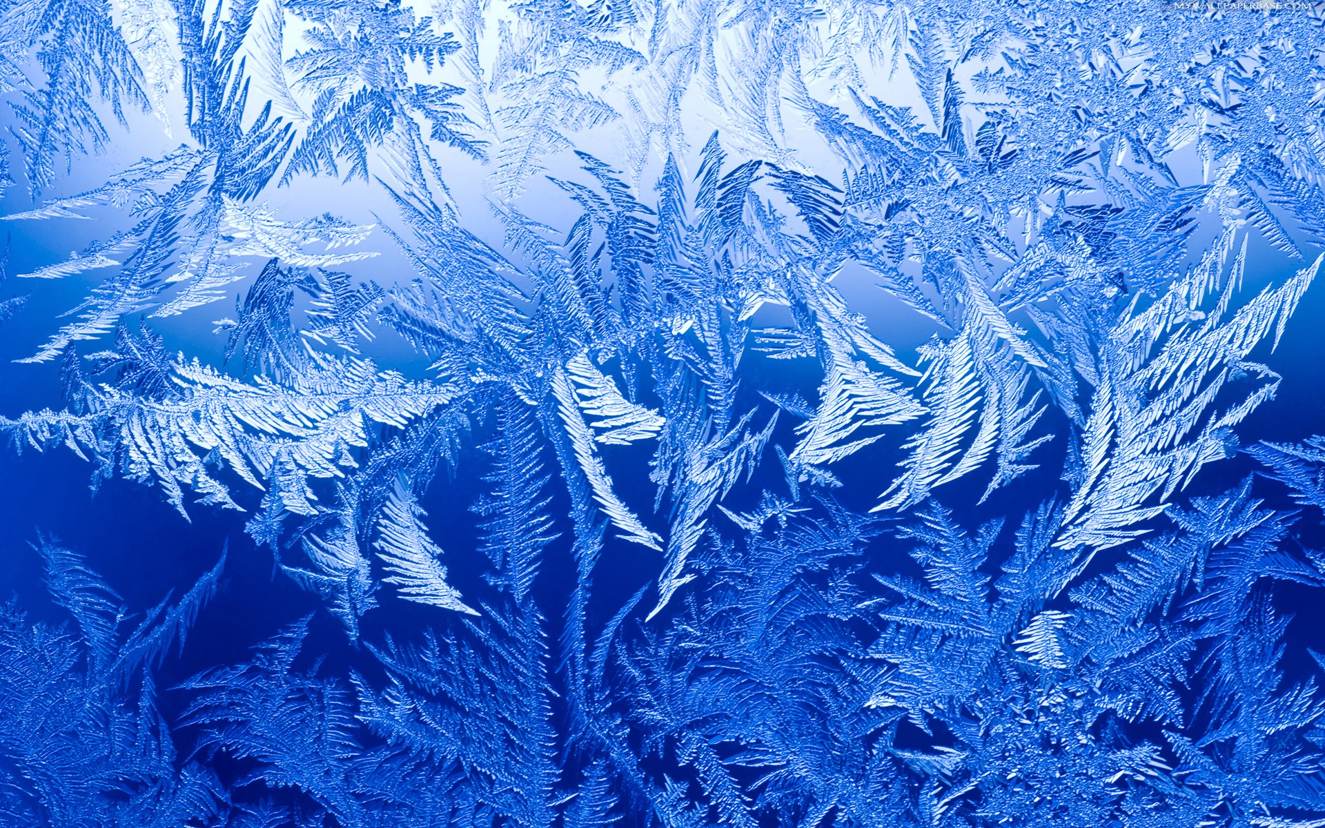 Intricate ice crystals form a stunning frost pattern on a window, creating a beautiful winter wallpaper