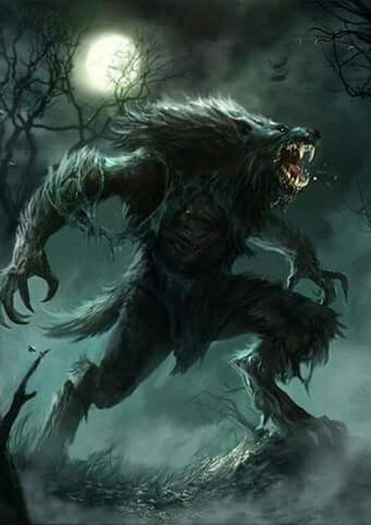 Best Werewolf Wallpaper For Android Apk