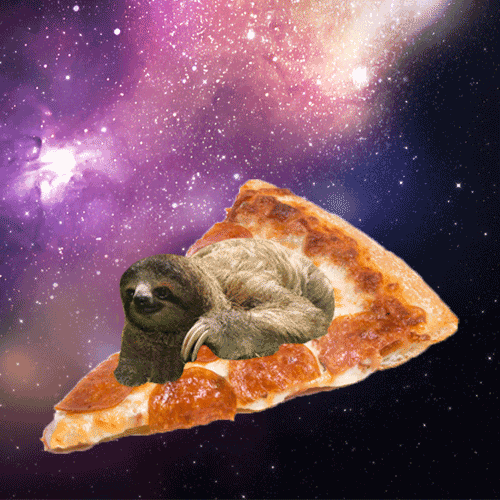 Sloths in Space 500x500