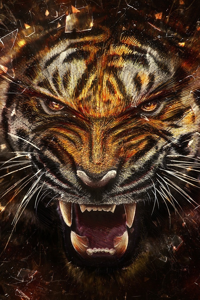 Tiger Through Glass iPhone HD Wallpaper iPhone HD Wallpaper download