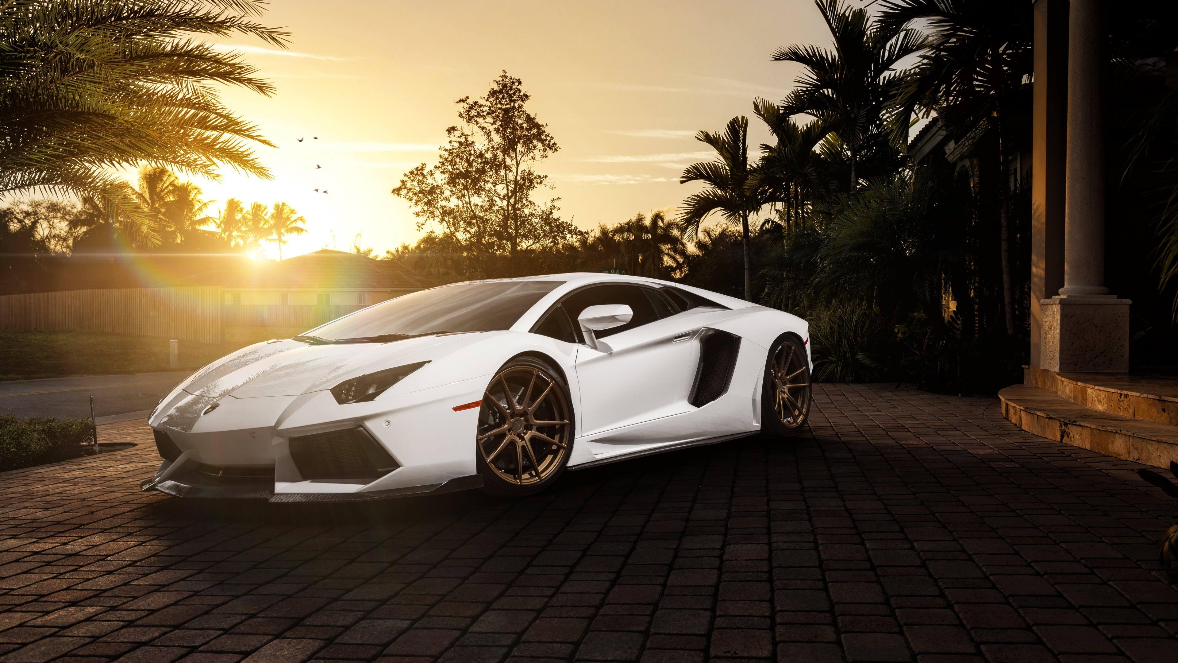 40 Lamborghini 4k Wallpaper Wallpapersafari