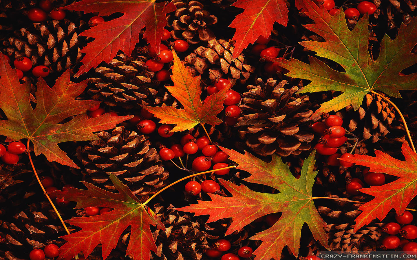 Fall Leaf Desktop Wallpaper