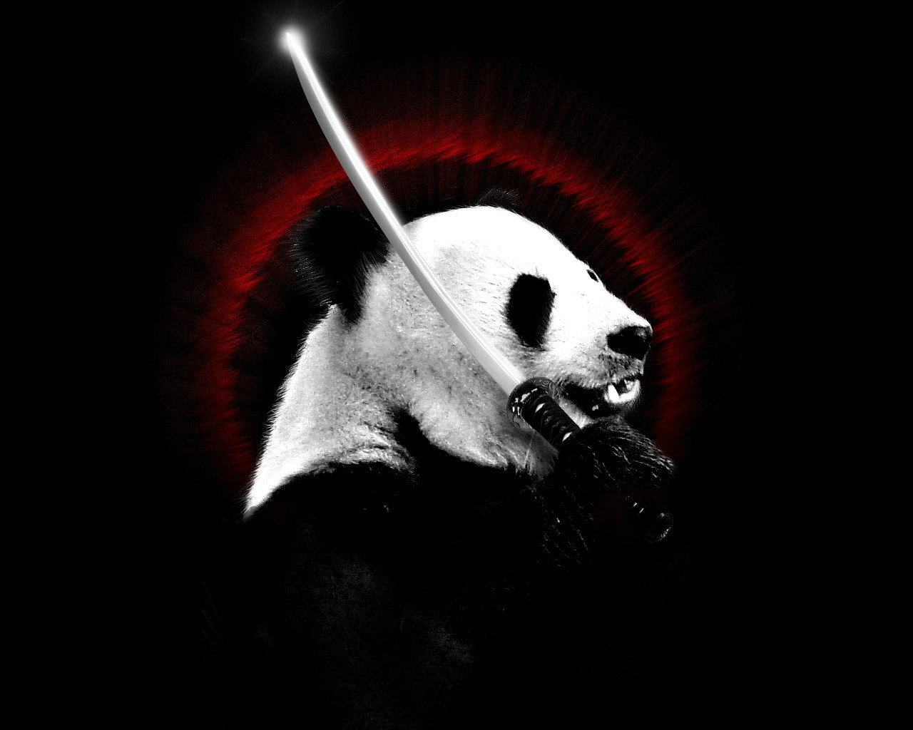 Panda 3d HD Wallpaper Desktop Background