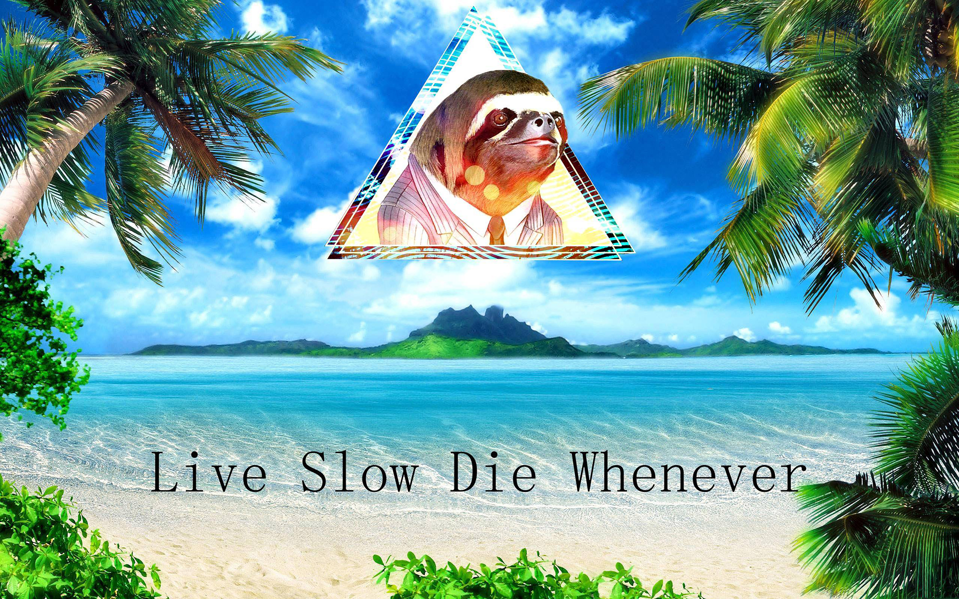 Humor Funny Sloth Islands Ocean Sea Tropical Palm Trees Quotes