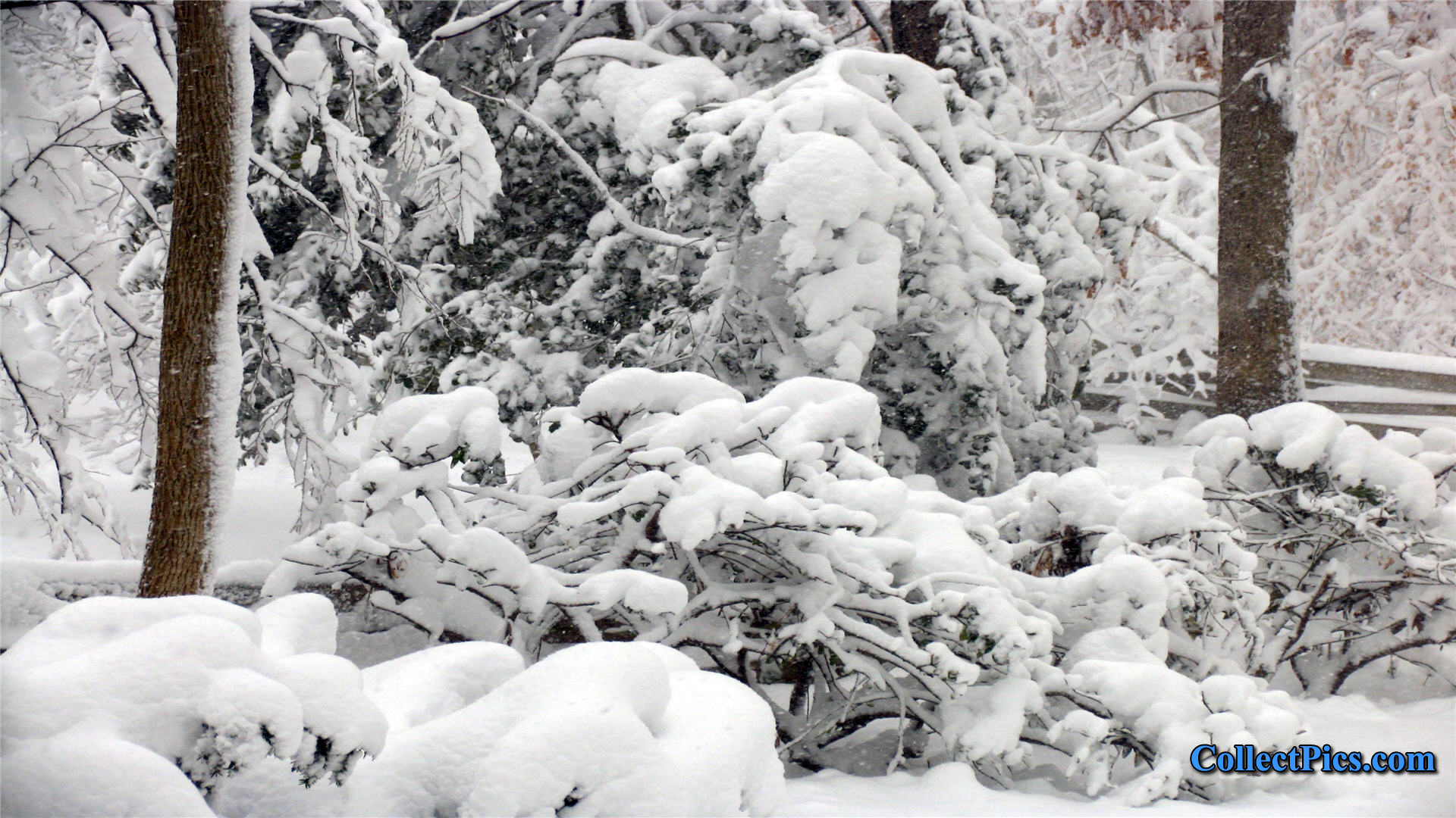 Snow Storm Wallpaper HD