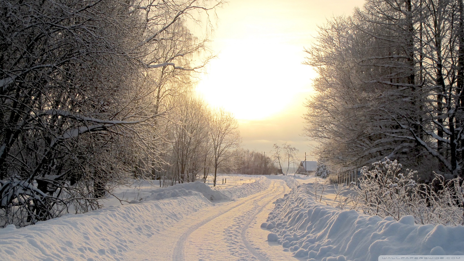 Country Road Winter Wallpaper Snowy