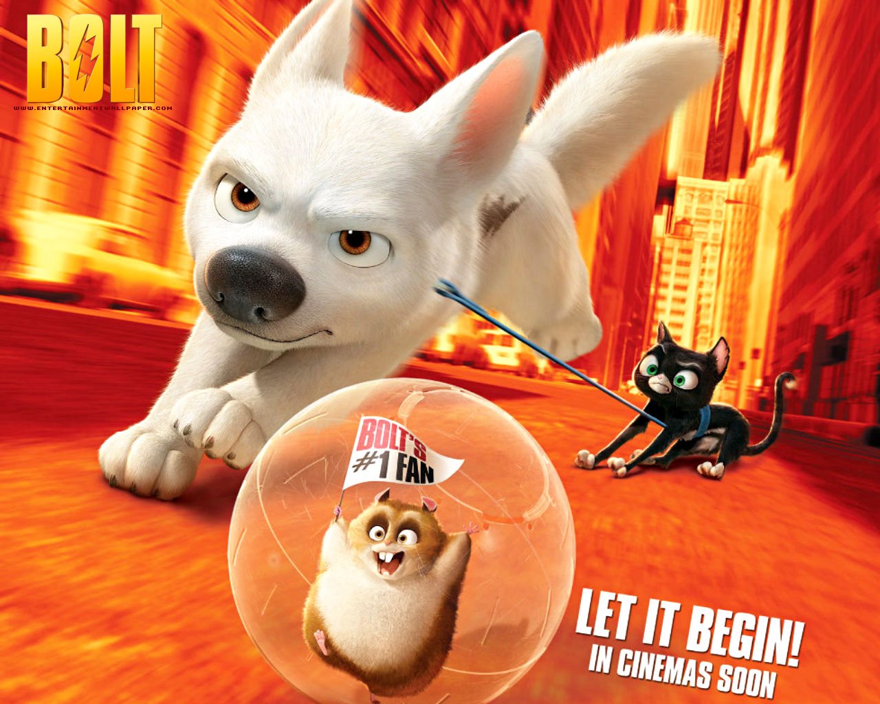 Free Download Tv Show Bolt Wallpaper 10014924 Size 1280x1024 More