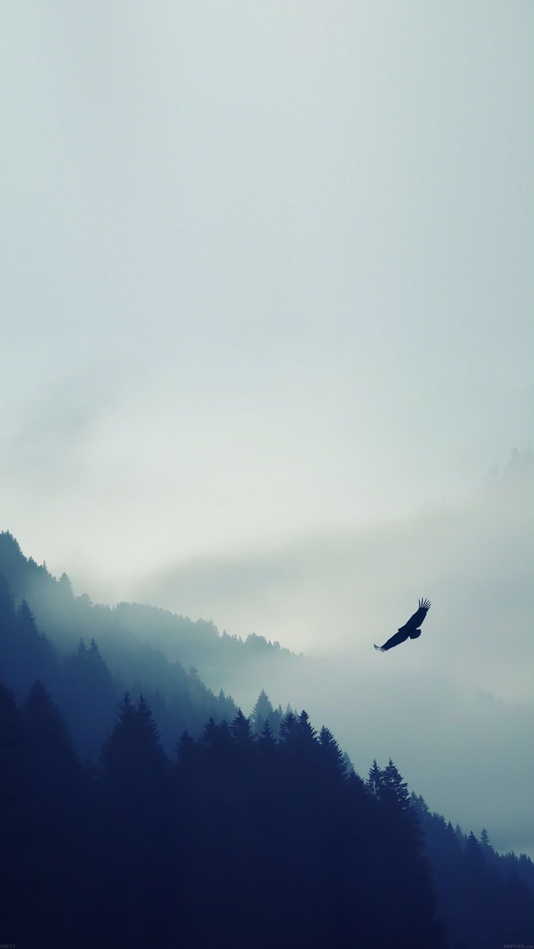 Flying Over Foggy Forest iPhone Plus HD Wallpaper Ipod
