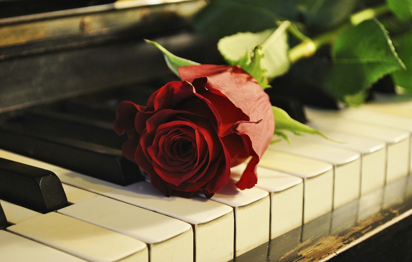 Piano Wallpaper Android Apps On Google Play