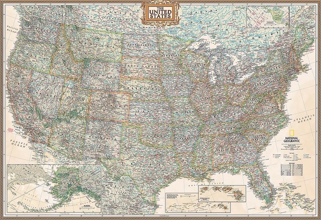 Executive United States Of America Usa Map Wall Mural Self