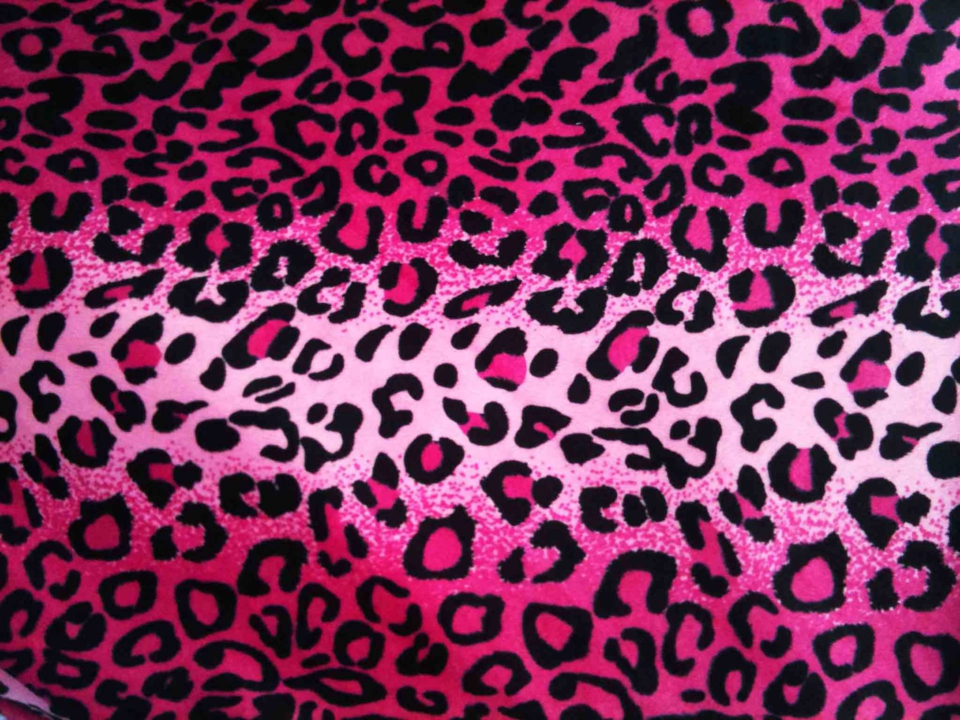 Leopard Print Wallpaper
