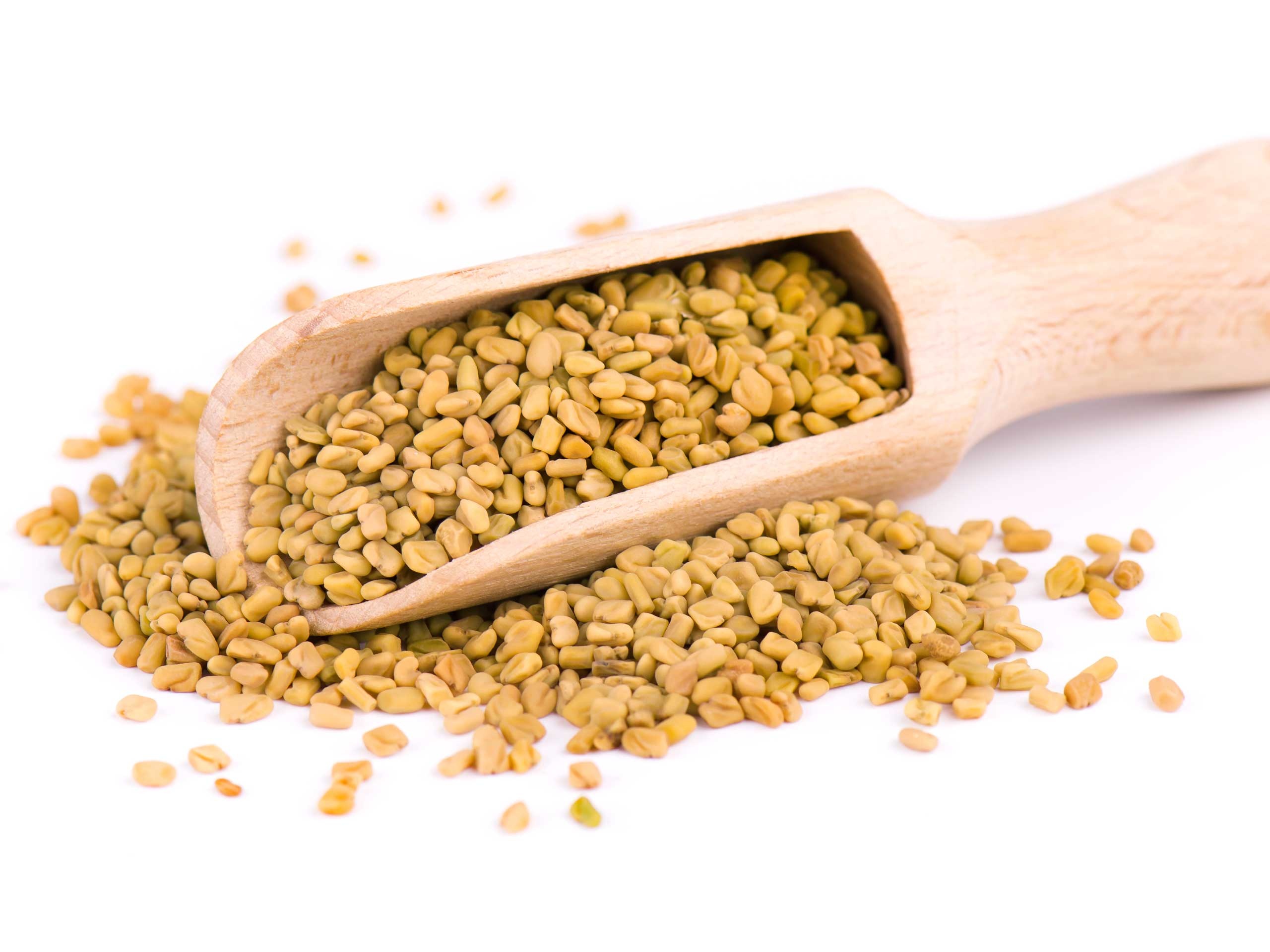 Fenugreek Wallpaper