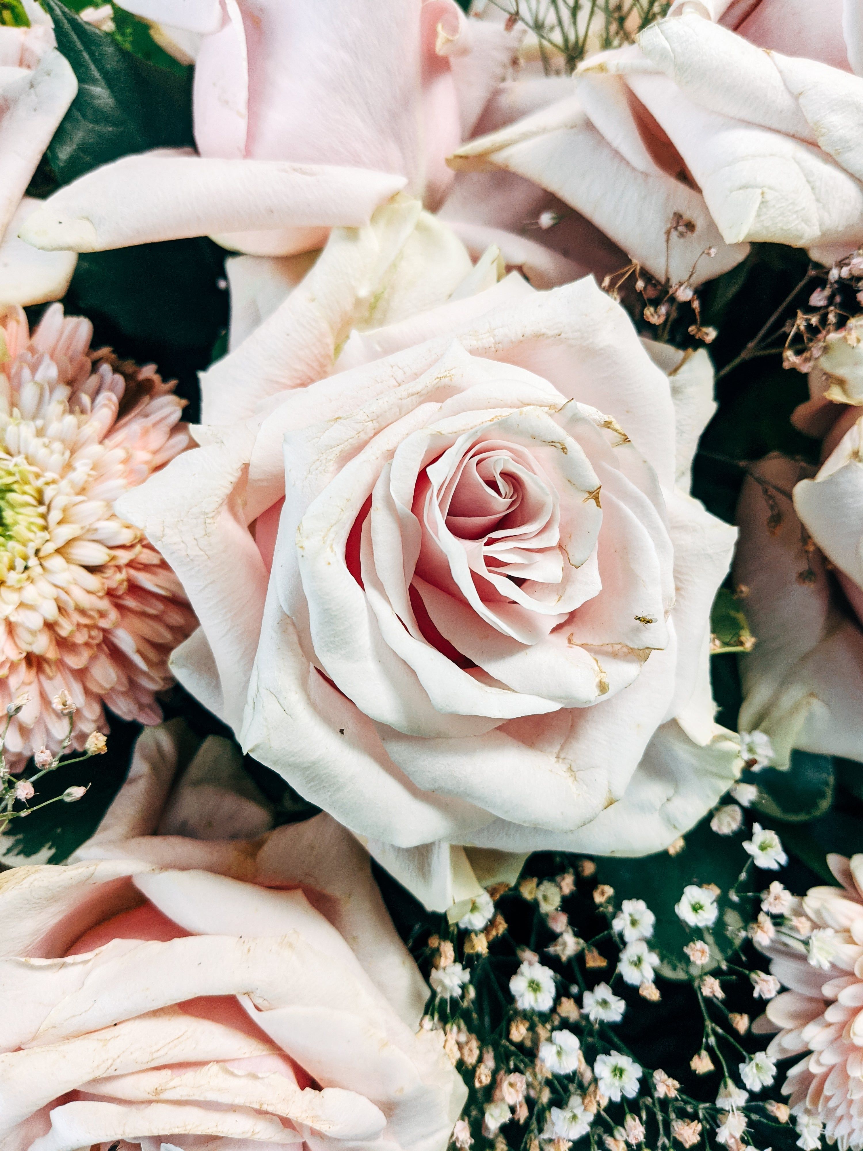 Pink Flowers Aesthetic Wallpaper