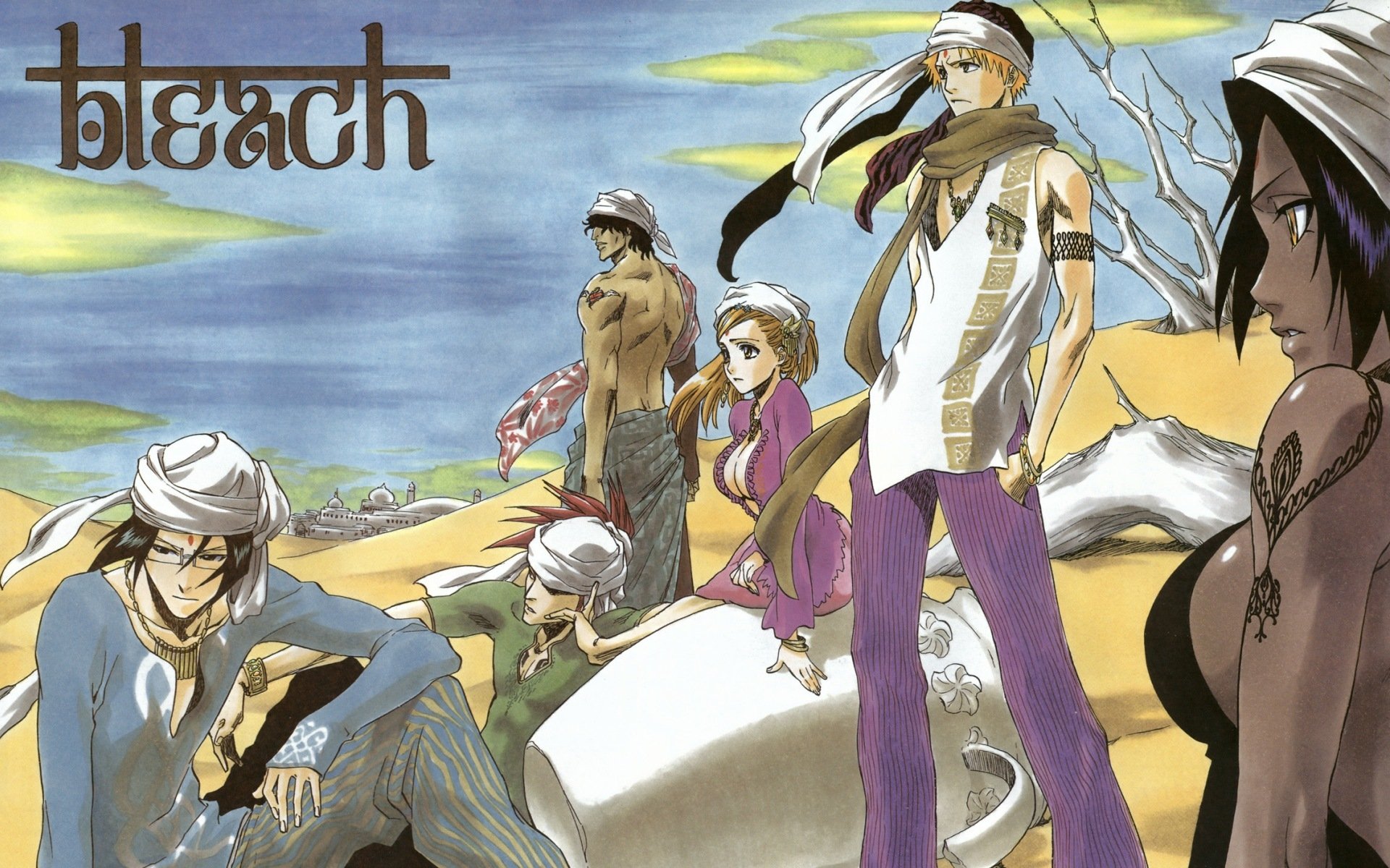 Yoruichi Shih In HD Wallpaper Background Image