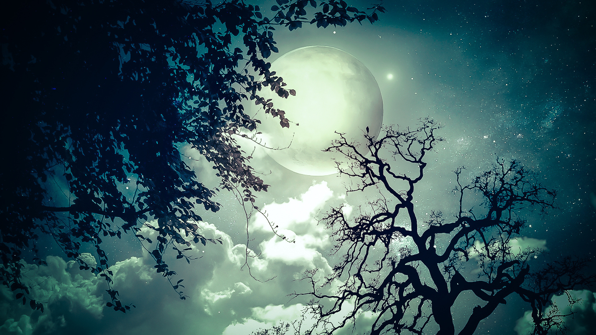 Moon trees clouds dream stars wallpaper 1920x1080 32192
