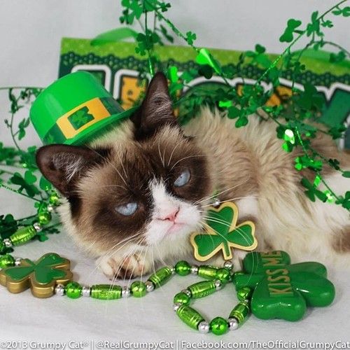Happy St Patricks Day From Grumpy Cat The Daily Grump