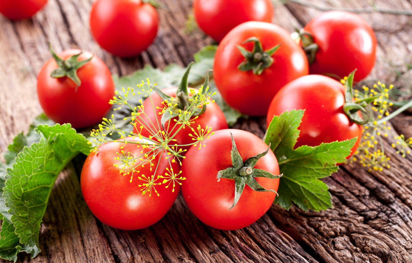 Wallpaper Vegetables Tomatoes Food Dill Image For Desktop