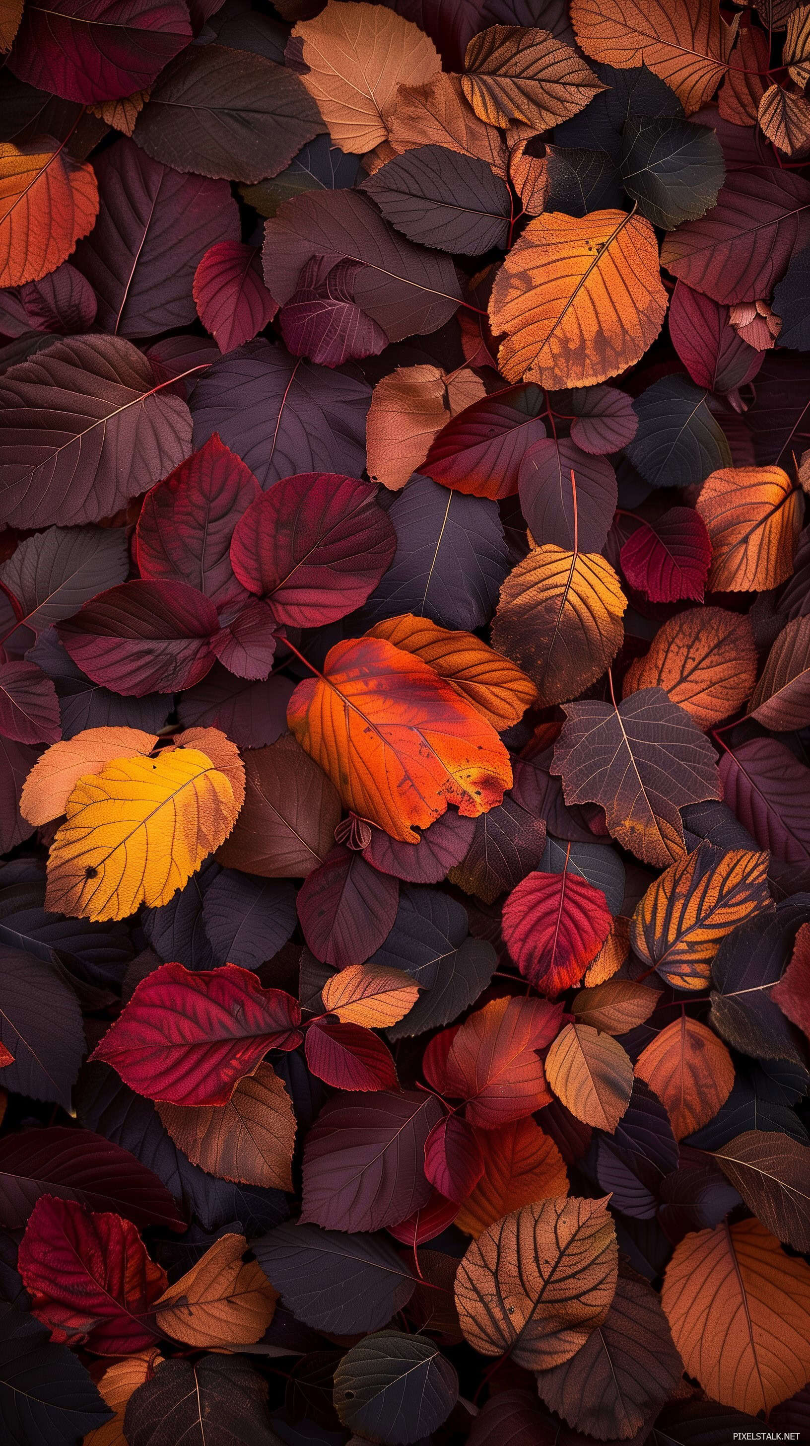 Autumn Phone Wallpaper