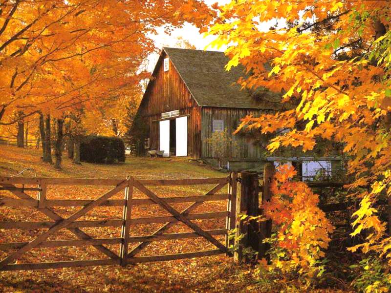 Autumn Wallpaper Desktop Image