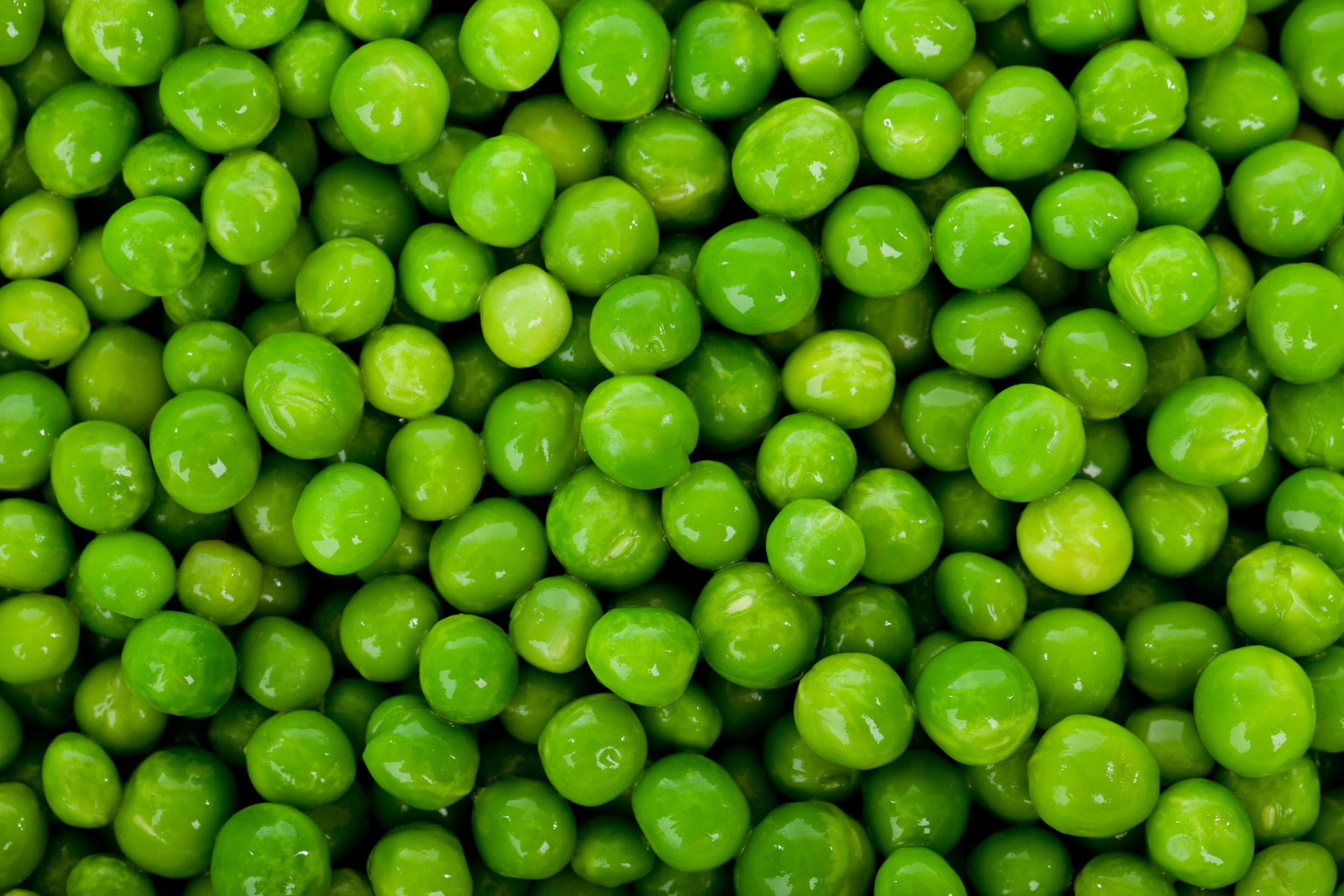 Green Peas Wallpaper Jpg